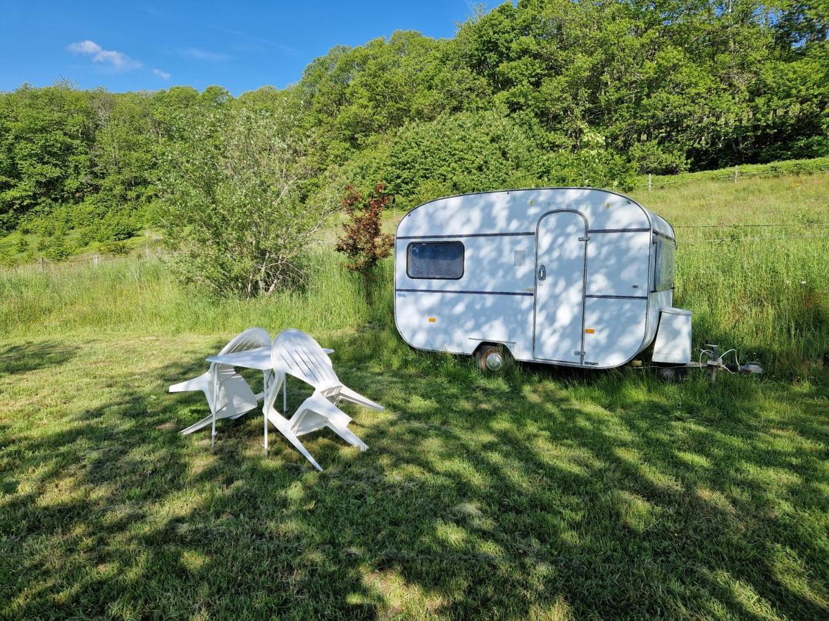 Camping La Foret Du Morvan Vintage Caravan Larochemillay Екстер'єр фото